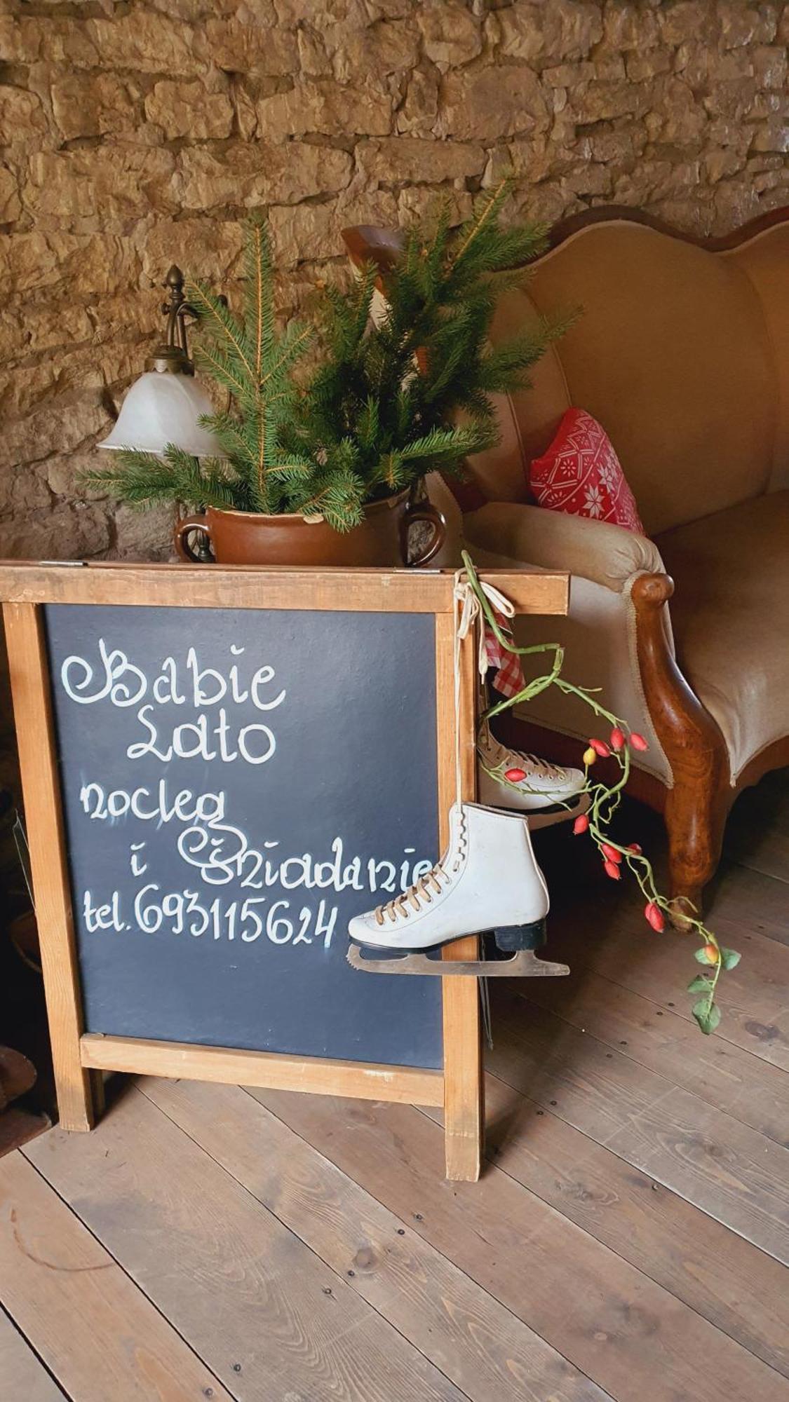 Babie Lato B&B 乌涅尤夫 外观 照片